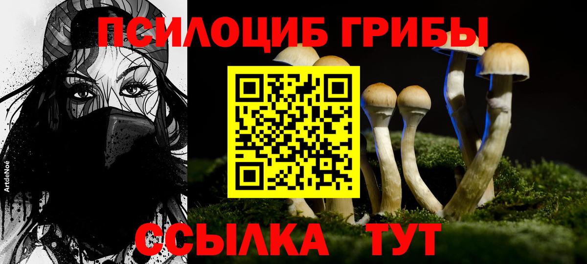 Псилоцибиновые грибы GOLDEN TEACHER  Вход с VPN  Костомукша 